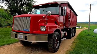 My New Grain Truck 1994 White Gmc Semi