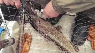 28 12 2013 Velkiavimas Žiemą