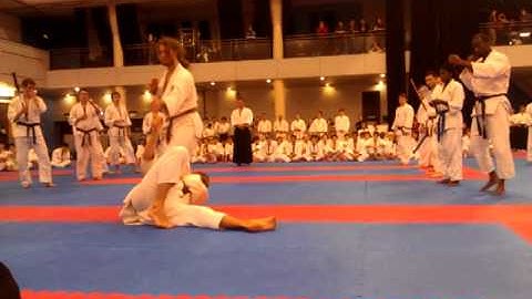 Sensei Lewis Brooks gauntlet - Jitsu Foundation Atemi Nationals 2012