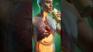 Banana Body Effects 🍌 | Inside Human Body Animation | 3D Medical Visualization #health #viral