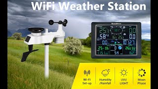 0310 Professional WiFi Weather Station Internet Wireless with Outdoor  Sensor Rain Gauge Weather Forecast Wind Gauge NicetyMeter