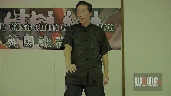 Wing Chun Forward Gan Sau  Samuel Kwok