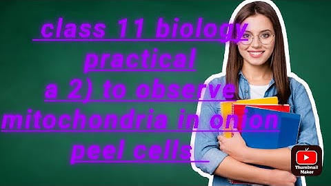 Class 11 Biology practical A 2) To observe mitochondria in onion peel cells