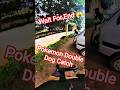 Pokemon Double Dog Catch #pokemon #dog #dogwithpublicsafety #ytviral #pets #dogshorts #shorts