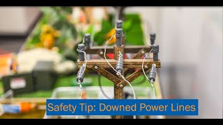 Electrical Hazard Demonstration: Downed Power Lines