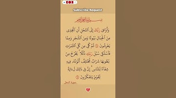 سورة الأحزاب💛 #اكسبلور #الله #duet #دويتو #تيك_توك #fyp #foryou #funny #allah #quran  #قرآن #لايك