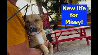 Missy the Beach Dog gets a New Life!