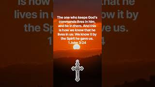 1 John 3:24 #bible #bibleverse #verseoftheday #god