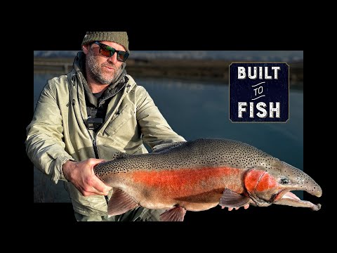 Daiwa x Hunting & Fishing NZ exclusive Built to Fish video series