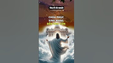 🛑 Động lực từ phục sinh | Tông đồ cầu nguyện | radio mến yêu hằng ngày #chúa #giesu  #shorts