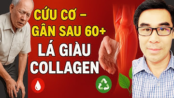 Chỉ Một Loại Lá Giàu Collagen Này – Cứu Cơ Gân Người Già Sau Tuổi 60 !