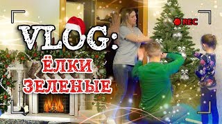 VLOG: МЫ ДОЛГО К ЭТОМУ ШЛИ / НАРЯЖАЕМ ЁЛКУ /...