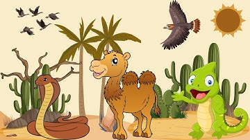 BÉ HỌC CÁC LOÀI ĐỘNG VẬT Ở SA MẠC - Dạy bé nhận biết các con vật ở sa mạc | Cậu bé bút chì
