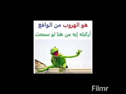 الضفدع كيرمت اتحداك ما تضحك