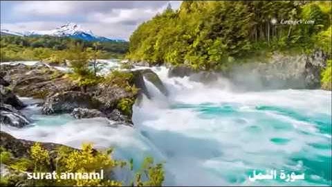 سورة النمل     بصوت سعود الشريم         saud ashshorim …  surat annaml