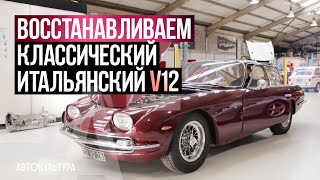 : Ferrari Daytona & Lamborghini 350GT.   V12!