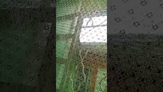 WP 20160527 004