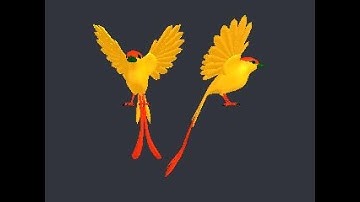 3D Model of bird - file Birds.obj