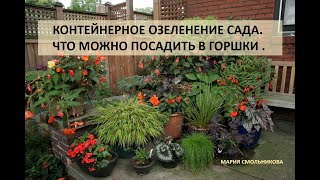 Контейнерное озеленение сада . Что можно посадить в горшки.