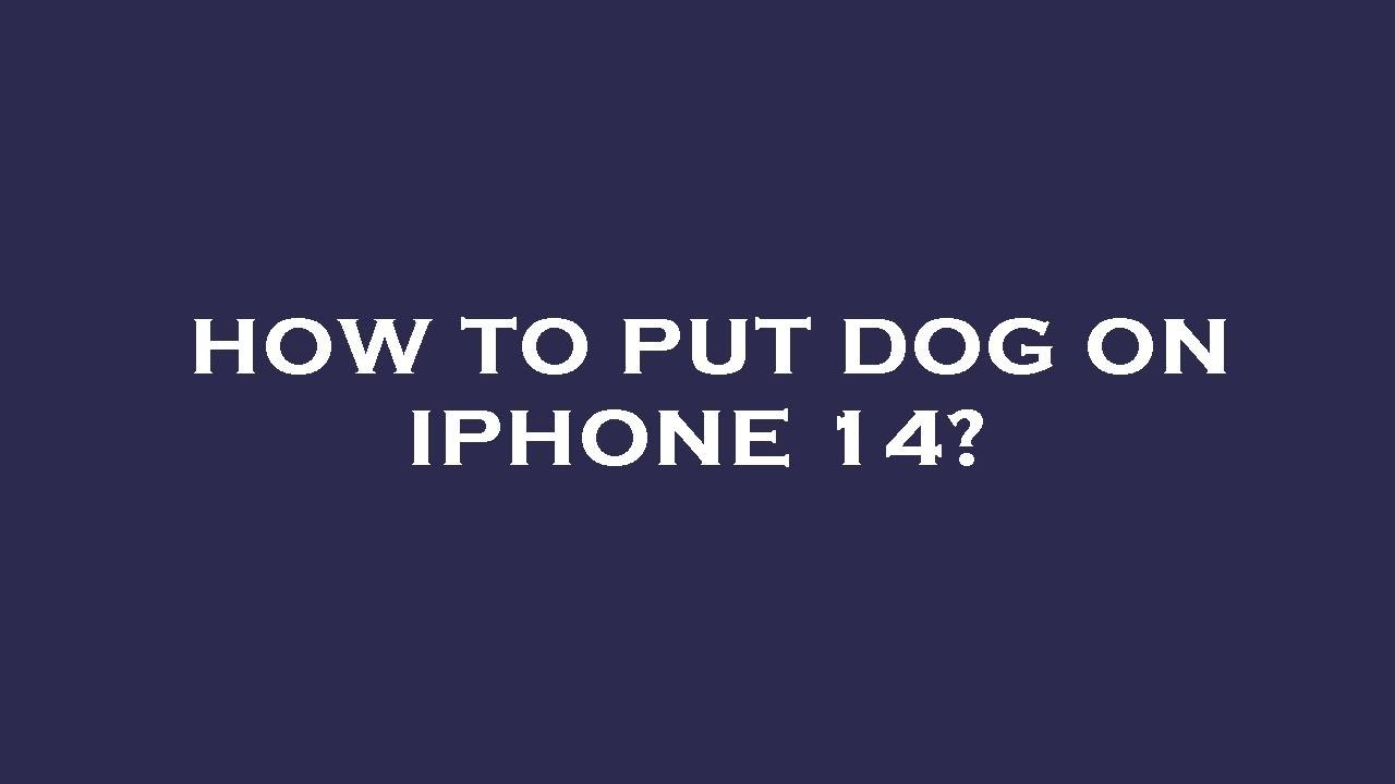 how-to-put-dog-on-iphone-14-youtube