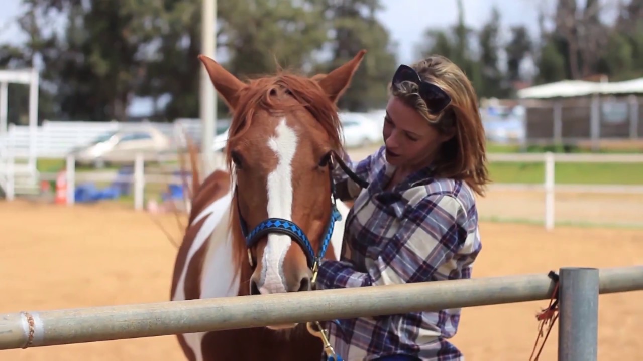 Israel Uses Horse Therapy to treat Soldiers with PTSD YouTube