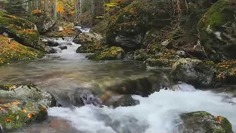 سورة الجن محمد خليل القارئ