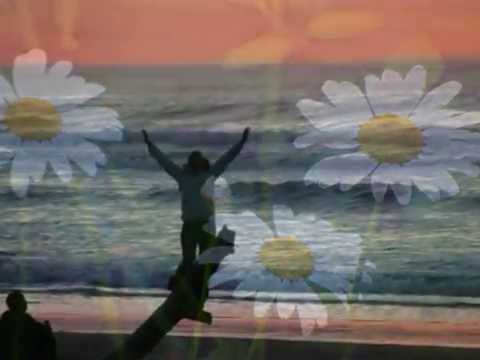 WHEN LOVE COMES HOME VIDEO