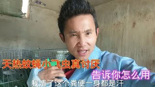 清理一下粪便小飞虫爬一身我真的怒了来把教你们怎么用