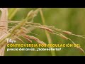 Controversia por regulación del precio del arroz. ¿Sobreoferta? – TvAgro por Juan Gonzalo Angel