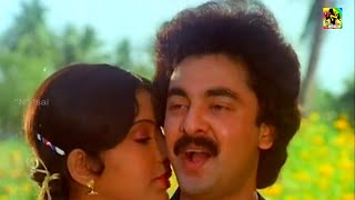 தேன் பூவே பூவே வா | Then Poove Poove Vaa Video Song | Anbulla Rajinikanth | Ilaiyaraaja Melody Hits,