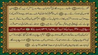 QURAN PARA 14 JUST/ONLY URDU TRANSLATION WITH TEXT HD (FATEH MUHAMMAD JALANDRI)