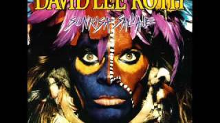 David Lee Roth - En busca de pleito