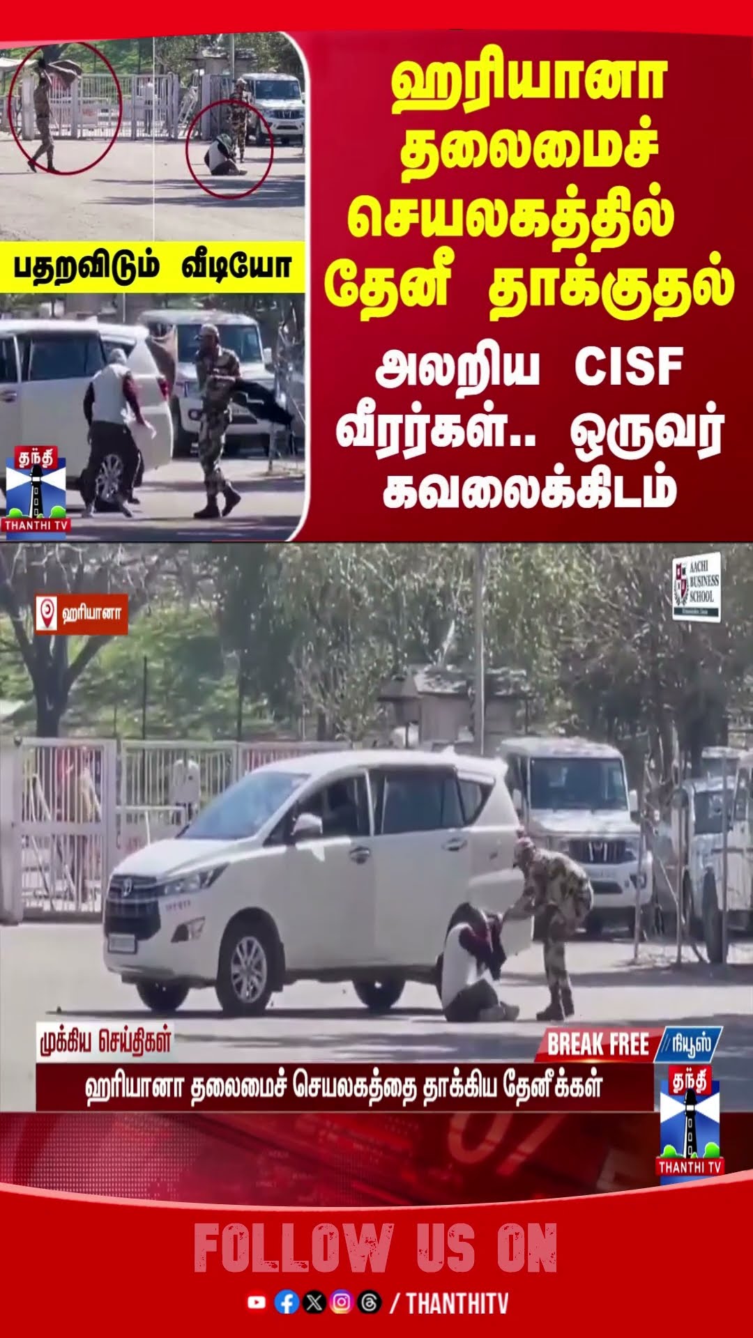 haryana || bee || attack || CISF ||