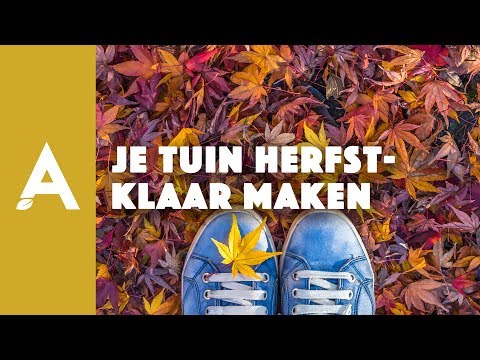 Video: Regels Voor Het Winterklaar Maken Van Een Tuin