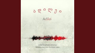 Baghia Chveni Kveqana