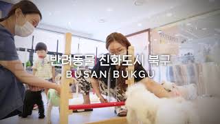 부산광역시 북구 반려동물 친화도시 VISION