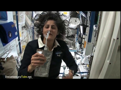 ⁣How they Eat, Drink and survive in Space ׃ Sunita Williams in The International Space Station