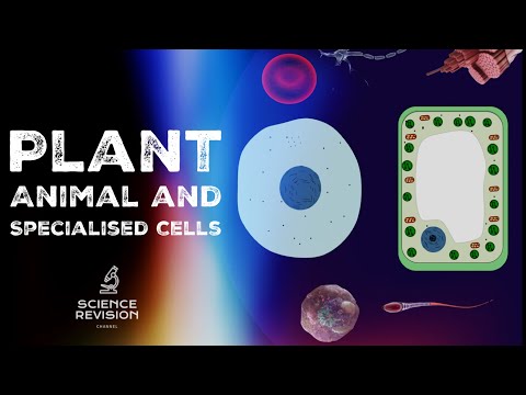 GCSE Science Biology