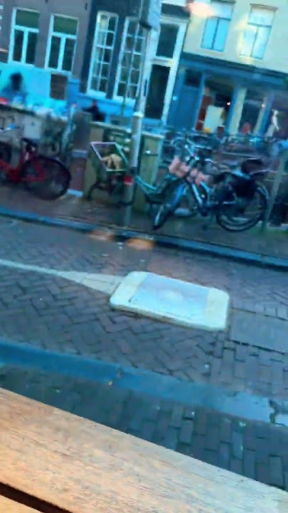#amsterdam#rotterdam#oldtown#netherlands##europe#mood#food#coffee#2023#shorts