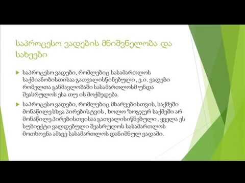 საპროცესო ვადები მაია ყვიტელაშვილი