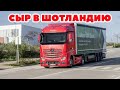 ETS 2 🔴 СЫР В ШОТЛАНДИЮ в Multiplayer, ProMods 2.50 / Logitech G27 gameplay