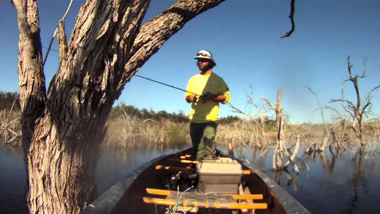 Bass fishing in Mexico - YouTube