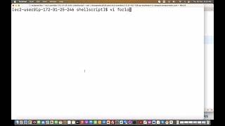 shell script 5
