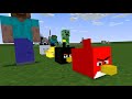 Monster School : Angry Birds in Minecraft Monster School - Minecraft Animation