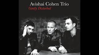 Avishai Cohen - Gently Disturbed chords