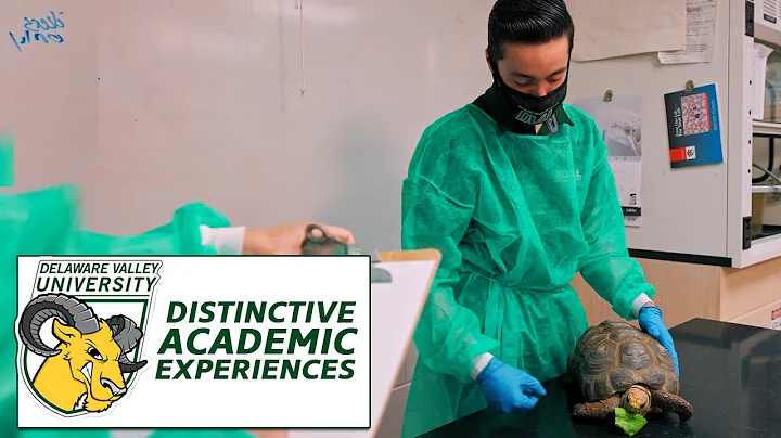 Distinctive Academic Experiences at DelVal | The College Tour