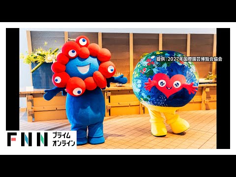 てゅんく様専用 フグ田さん様専用 わんちゃんおやつまとめ売り -