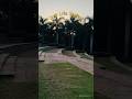 🥰🌻Soft life series day 1 @ Infosys Mysore❤️ #minivlog #slowmorning #infosys #infosysmysore #sunrise