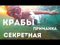 РАКОЛОВКИ! КРАБЫ НА СЕКРЕТНУЮ ПРИМАНКУ! ЧЕРНОЕ МОРЕ!