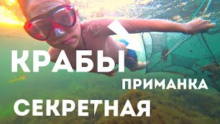 видео: РАКОЛОВКИ! КРАБЫ НА СЕКРЕТНУЮ ПРИМАНКУ! ЧЕРНОЕ МОРЕ! картинка: РАКОЛОВКИ! КРАБЫ НА СЕКРЕТНУЮ ПРИМАНКУ! ЧЕРНОЕ МОРЕ!